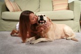 Bellmere_Cleaning_dog